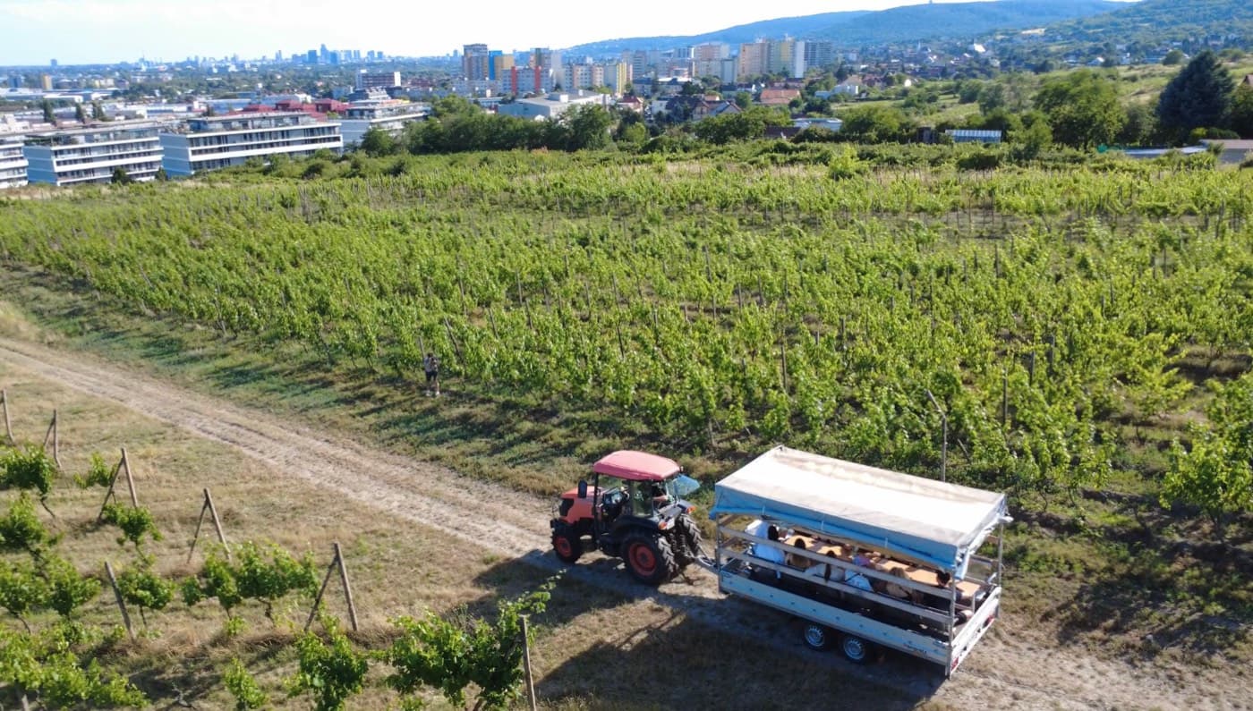Pohľad z dronu na vinohrady nad Bratislavou