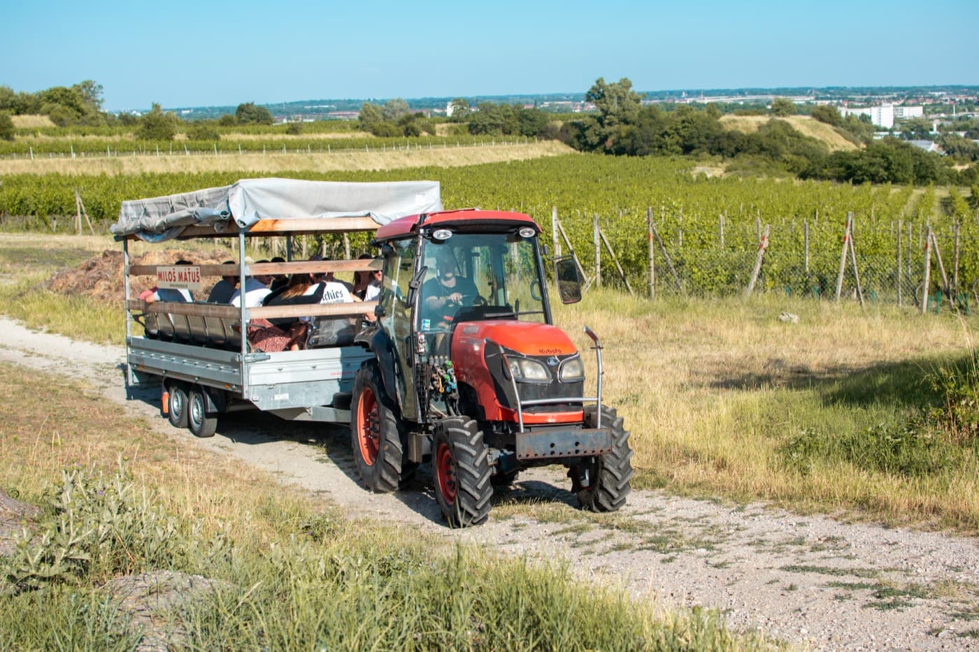 Traktor s vlečkou medzi vinicami
